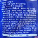 삼곡 | 동서식품 Post 포스트 오레오 오즈 시리얼 500g 내돈내산 먹어본 후기