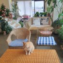 이희재농장 이미지