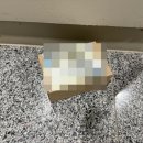 여자 운전자 필수템 가드너 자동차 QR코드 주차번호판 솔직후기