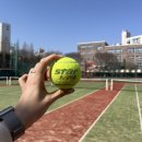 소선농장 | [일상 기록] 3월 연휴 시댁 식구들과 서울 나들이