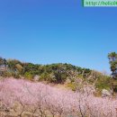 남송농원 이미지