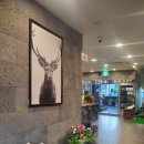 에이스골프존스크린 이미지