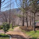 의령예술촌(야외) 이미지