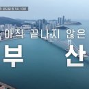 부산 손 칼국수