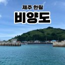 제주 비양도 호니토 | 제주 한림 비양도 후기 한림항도선대합실 배시간 배편 정보