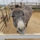 원반농장 이미지