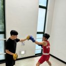 용인대W복싱짐 이미지