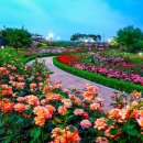 곡성-061 이미지