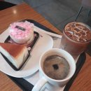 토리카서비스 이미지