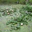 큰골농장 이미지