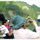 윤선농장 이미지