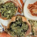 울산 삼천포 회. 대게 도매센터 초장집, 박달대게 후기