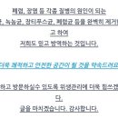 장평태권도 이미지