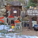 햇살가득농장펜션 네이버블로그