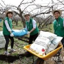 나주퇴비 이미지
