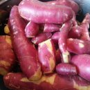 이브농장 이미지