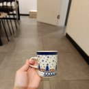 펄스짐 YH 이미지