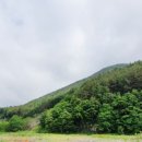 쉬미슈퍼 이미지