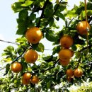 웅촌농장 이미지