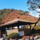 수희재캠프 이미지