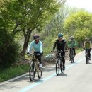 곡성-200 이미지