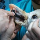 ㈜성원약품 이미지