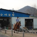 훼밀리승마클럽 Daum카페