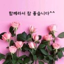 수요일 - 종로구 인사동길 36 | 수요일