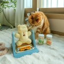 (주) 펫앤미 | 고양이 노즈워크 바잇미 혼자 놀기 좋은 강아지 장난감 간식통