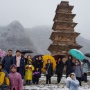 봉감모전5층석탑 옆 이미지