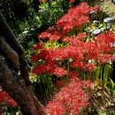 포항전국국악경연대회 이미지