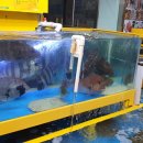 대성수족관 이미지