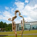 제주도립미술관 이미지