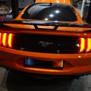 인앤아웃커스텀 이미지