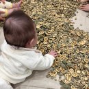 엄마랑 오감발달통합놀이8-13개월 | 5개월 아기 문센 언제부터? 베베스타 청계천 이마트 문화센터 겨울학기 첫 수업 후기