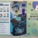 헬스비스킷 이미지