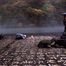 지에스25 부평갈산 이미지