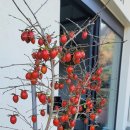 군산상사 이미지