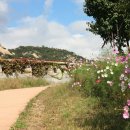 경동초등학교 이미지