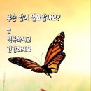 백산한의원 이미지