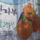 해피그린농장 이미지