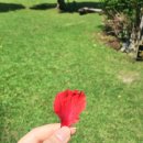 문화카부분정비 | 괌 정글리버크루즈 🌿 정글투어 진짜 후기 | 태교여행으로도 딱인 정글크루즈 완벽 정리