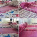 진성고등학교 이미지