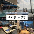 호수부분정비 | 소피텔 수영장 후기 | 잠실 석촌호수 시티뷰 통창 수영장 내돈내산 호캉스