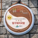 밀양시청 | 주말에 밀양 당일치기 다녀왔습니다(feat. 밀양국가유산야행, 달팽이전망대, 제로페이)