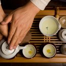 다도농장 이미지