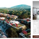 내곡동274 이미지