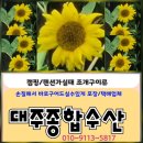 내설악펜션 이미지
