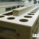 베이비엔젤식당