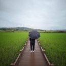 Hotel 여기어때 순천점 | 여수, 순천, 남해 3박 4일 여행
